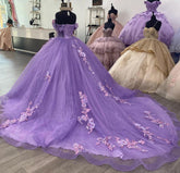 Exquisite Off-Shoulder Ball Gown with 3D Floral Lace Appliques Purple Tulle Quinceanera Dress for Sweet 16 & Birthday Celebrations